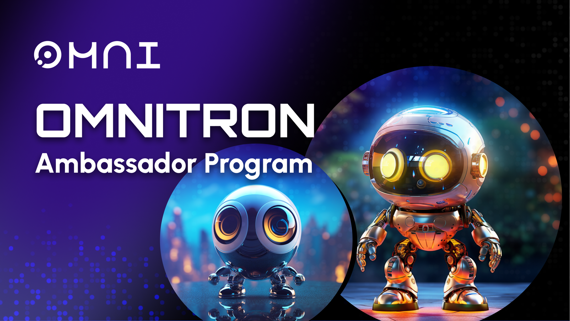 Omnitron Ambassador Program